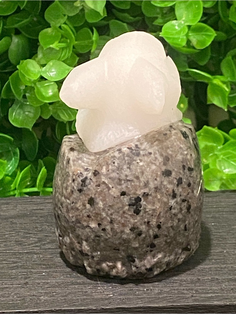 White Jade Rabbit Craving inside Yooperlite basket - Picture 3 of 6